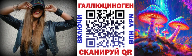 Купить где  Королёв  Галлюциногенные грибы Cubensis 